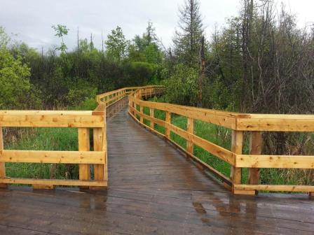 Dog Park In Spencerville Ontario Dog Park In Spencerville Ontario